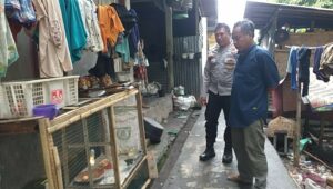 Pekarangan Jadi Lumbung: Inovasi Pangan di Desa Jagaraga