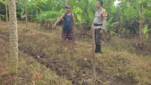 Bhabinkamtibmas Labuapi Gandeng Petani Tingkatkan Ketahanan Pangan dan Jaga Kamtibmas