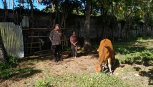 Bhabinkamtibmas Aktif Edukasi Pertanian di Desa Senggigi