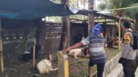 Inisiatif Bhabinkamtibmas di Lombok Barat: Pekarangan Jadi Lumbung Pangan