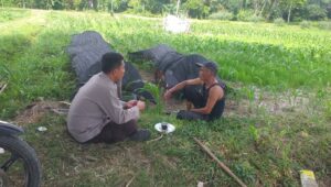 Polres Lombok Barat Dukung Petani Wujudkan Ketahanan Pangan di Lembar