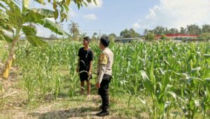 Polisi Desa Cendi Manik Dorong Ketahanan Pangan Lewat Pendampingan Petani Sekotong