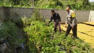 Inisiatif Humanis Polri di Sekotong Tengah, Edukasi Pangan dari Pekarangan Rumah