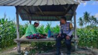 Jalin Kedekatan, Bhabinkamtibmas Desa Eyat Mayang Sambangi Petani Jagung Dukung Ketahanan Pangan (1) Jalin Kedekatan, Bhabinkamtibmas Desa Eyat Mayang Sambangi Petani Jagung Dukung Ketahanan Pangan