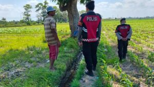 Polres Lombok Barat Pantau Lahan Jagung di Desa Tempos untuk Dukung Swasembada Pangan