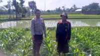 WhatsApp Image 2025-08-23 at 10.43.56 Sinergi Polisi dan Petani di Desa Jagaraga untuk Wujudkan Kemandirian Pangan