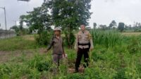 Bhabinkamtibmas Terong Tawah Dorong Pemanfaatan Pekarangan untuk Ketahanan Pangan