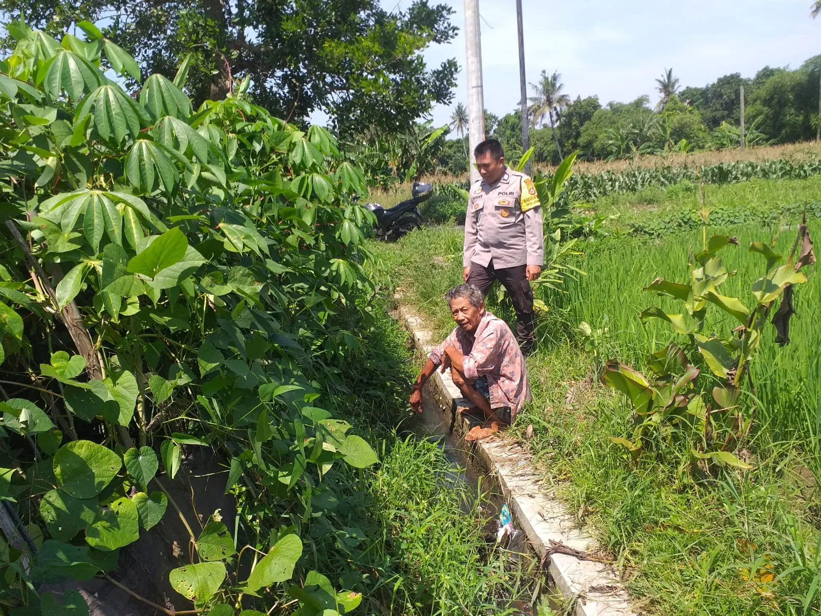 Petani Jagaraga Didorong Polri Tanam Padi dan Jagung untuk Pangan Lokal