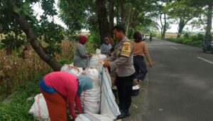 Sinergi Petani dan Polri di Lombok Barat Hasilkan Panen Jagung Melimpah