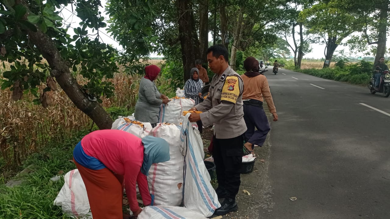 WhatsApp Image 2025-10-27 at 13.05.10 Sinergi Petani dan Polri di Lombok Barat Hasilkan Panen Jagung Melimpah