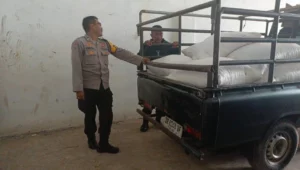 Polisi Turun ke Ladang, Pastikan Jagung Petani Lembar Terserap BULOG