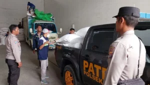 Jagung Petani Gerung Lolos Standar Bulog, Harga Aman dan Stabil