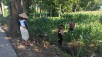Patroli Ketahanan Pangan: Sinergi Polres Lobar dan Petani Jagung
